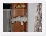 Immagine 007 * 2592 x 1944 * (1.4MB)